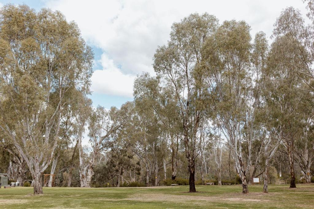 Tindarra Resort Moama Dış mekan fotoğraf